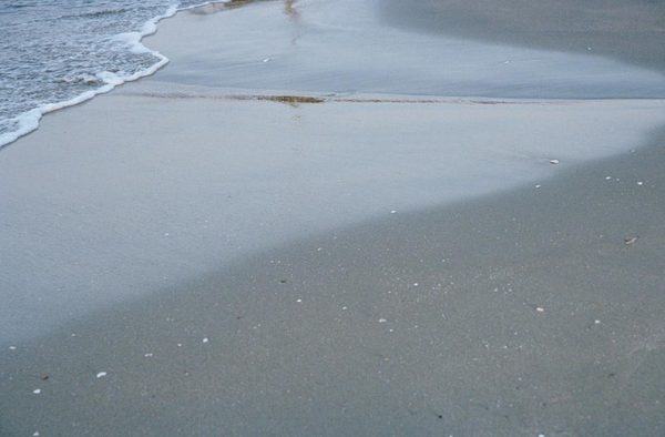 [나나미카] 2026 블랙오션 바이브